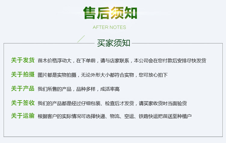 櫻桃_10.jpg