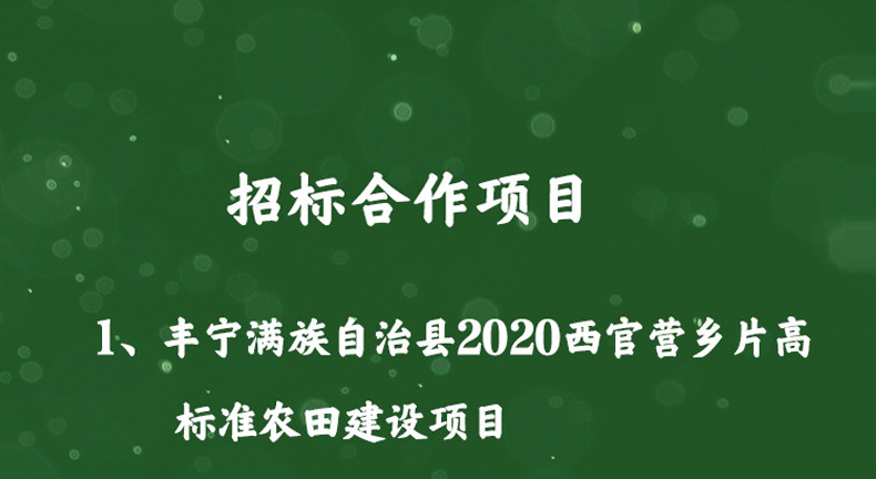 盛佳匯_14