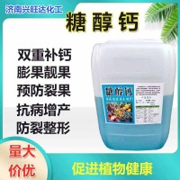 糖醇鈣 螯合鈣葉面肥果實圓潤膨大肥 糖醇鈣