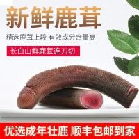 新鮮鹿茸 正宗東北血茸整支連刀切鹿茸片 現(xiàn)貨包郵發(fā)順豐