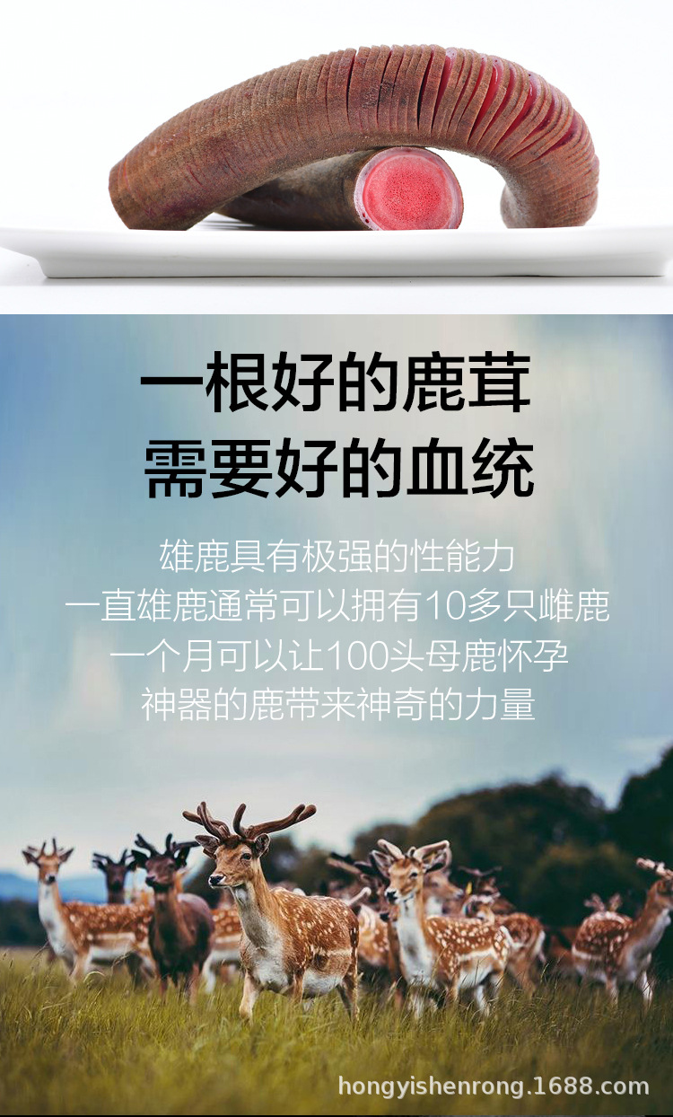 鹿茸詳情頁_02
