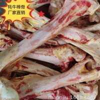 牛骨頭 牦牛棒骨筒子骨 牛腿骨 牦牛骨髓 牦牛骨膠原蛋白肽原料