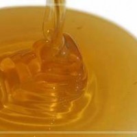 野桂花蜂蜜農(nóng)家自產(chǎn)蜂蜜批發(fā)桂花蜜可團購OEM貼牌生產(chǎn)