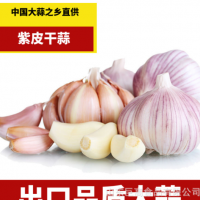 紫皮干蒜5厘米1斤新鮮干蒜頭大蒜之鄉(xiāng)產(chǎn)地直發(fā)批發(fā)優(yōu)質(zhì)蒜種子蒜籽