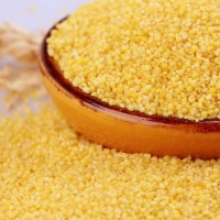 泥河灣有機(jī)桃花小米5斤黃小米小米粥小黃米 新小米雜糧粗糧熬粥