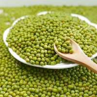產(chǎn)地貨源 農(nóng)家豆類烘焙原料大顆粒商品綠豆五谷食用雜糧散裝 批發(fā)