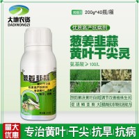 蔥姜韭蒜黃葉干尖靈氨基酸葉面肥防黃葉折倒葉斑促生長抗逆增產(chǎn)