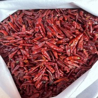 河南內(nèi)黃新一代干辣椒香辣提色500g火鍋底料調(diào)味品干辣椒調(diào)味料