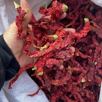 干辣椒產(chǎn)地直銷陜西秦鎮(zhèn)線椒 微辣線椒超辣特辣椒魔鬼辣干500g