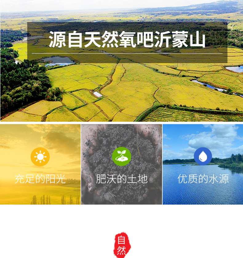 桑葉茶250克罐裝07