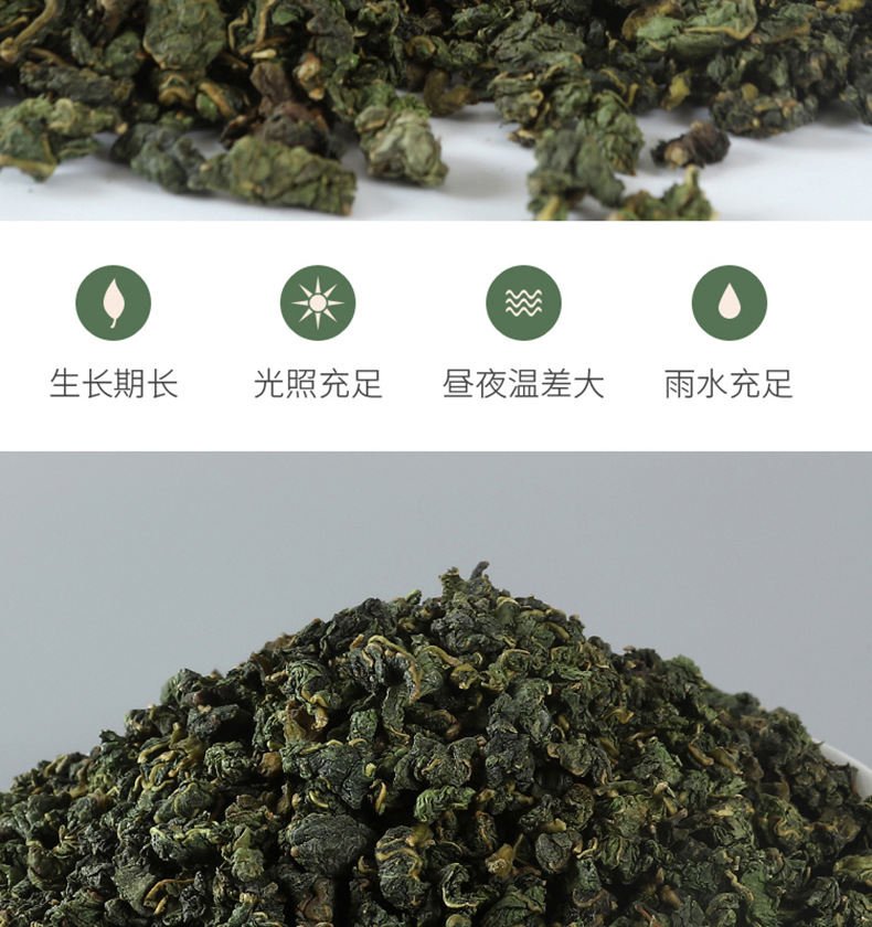 桑葉茶250克罐裝05