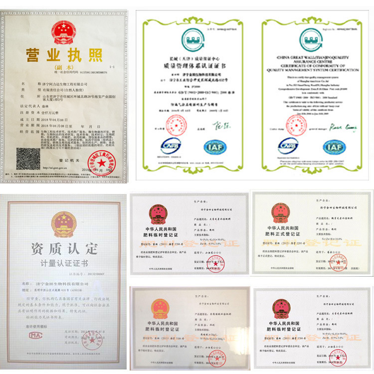 柑橘發(fā)貨圖片4