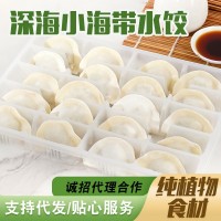 批發(fā)深海小海帶凈素水餃純植物食材冷凍食品批發(fā)早餐方便速凍餃子