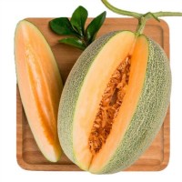 哈密瓜新鮮脆甜10斤裝水果當(dāng)季整箱海南西州蜜瓜網(wǎng)紋甜瓜爆甜多汁