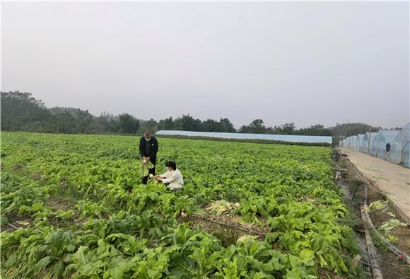 毓青山里的蔬菜基地。特約通訊員 李慧敏 攝