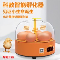 實驗孵蛋器小雞孵化器小型家用全自動雞蛋孵化箱兒童智能孵化機