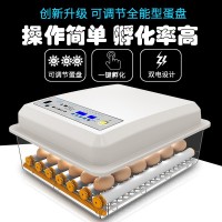工廠批發(fā)小雞孵化器小型家用智能孵化機跨境迷你雞蛋孵蛋器孵蛋機