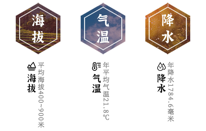 陳皮_03.png