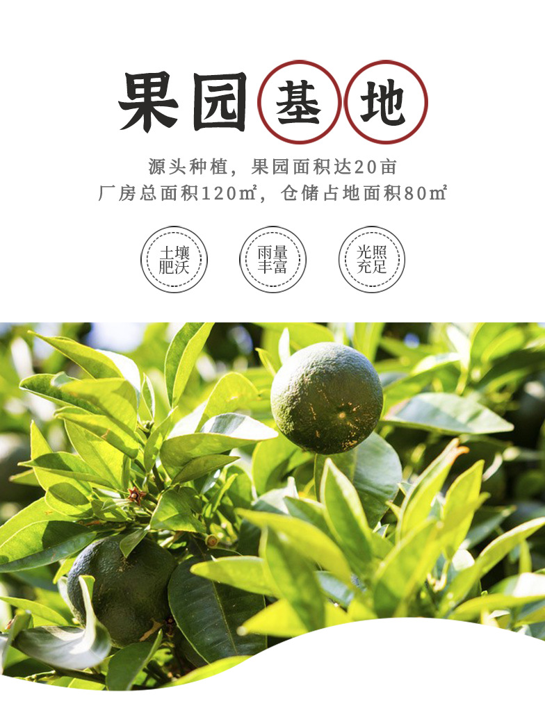 陳皮_02.png