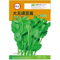 揭美大無須豆苗種子 豌豆苗種 菜籽 蔬菜種子原廠包裝25克