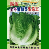 揭美10克意大利生菜種子 生菜籽 農業(yè)大田種植 陽臺園藝盆栽