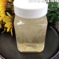 成熟洋槐蜜產(chǎn)地貨源蜂宜健洋槐500g陜西源頭蜂場槐花蜂蜜貼牌代發(fā)
