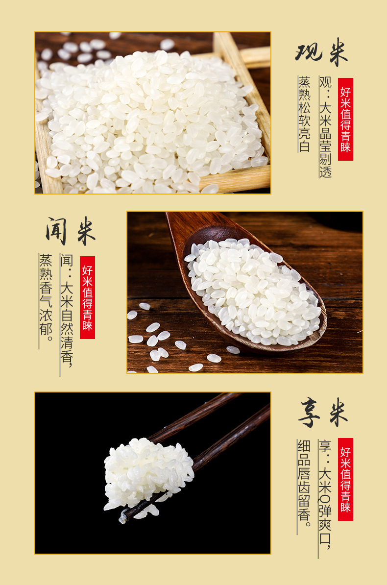 _沈陽市遼中區(qū)鴻騰雜糧種植專-所屬行業(yè)-業(yè)合作社__07