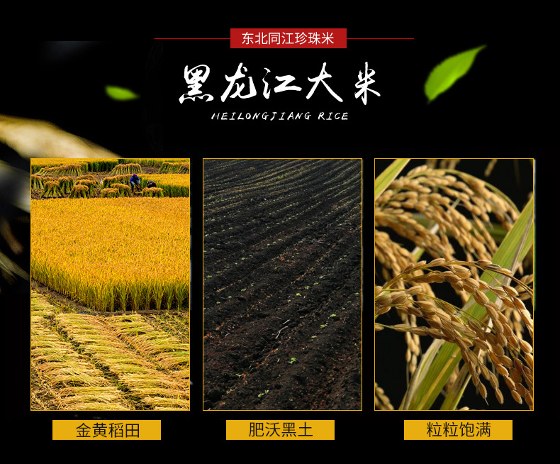_沈陽市遼中區(qū)鴻騰雜糧種植專-所屬行業(yè)-業(yè)合作社__05