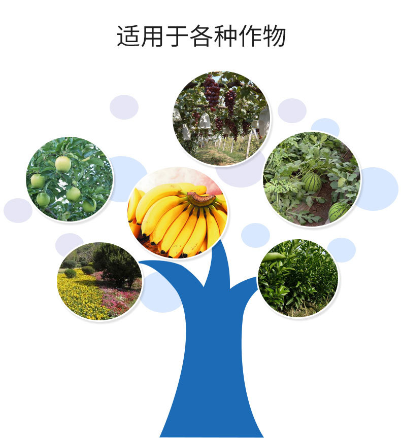 詳情_04.jpg