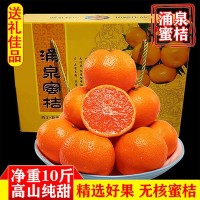 臨海涌泉蜜桔早熟宮川當(dāng)季浙江無核桔子黃巖蜜橘新鮮水果砂糖桔
