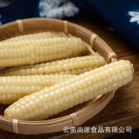 云南新鮮拇指玉米即食批發(fā)西雙版納軟糯拇指玉米真空包裝一件代發(fā)