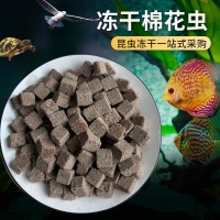 廠家批發(fā)巴西龜龜糧 觀賞魚飼料凍干棉花蟲 金絲熊小倉鼠糧零食