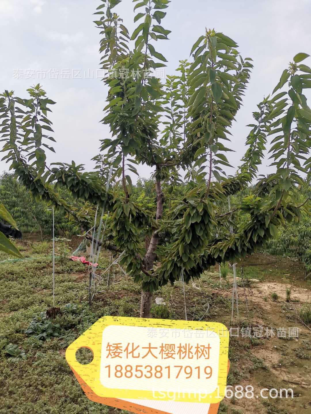 微信圖片_20201031143444.jpg
