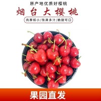 現(xiàn)摘山東大櫻桃5斤煙臺紅燈當(dāng)季孕婦新鮮水果車?yán)遄诱?斤裝包郵