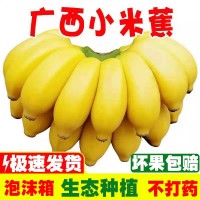【旗艦店】正宗廣西小米蕉香蕉批發(fā)整箱10斤芭蕉5非海南皇帝蕉2斤