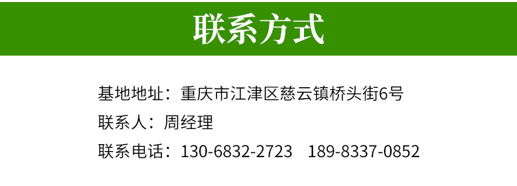 詳情_13