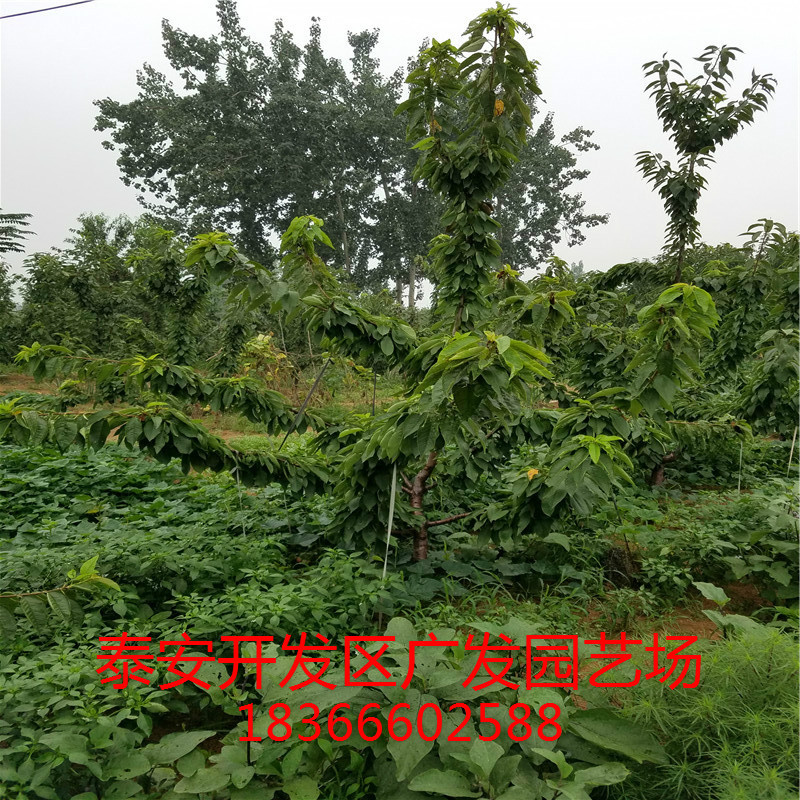 20170730_102838
