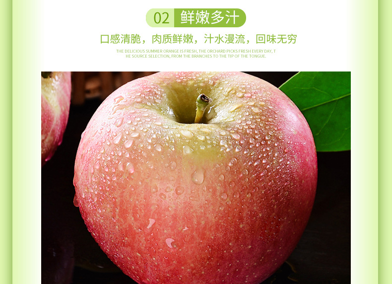 煙臺紅富士_06.jpg