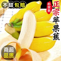 正宗蘋(píng)果蕉香蕉新鮮5斤當(dāng)季整箱水果自然熟粉蕉芭蕉小米香甜蕉10