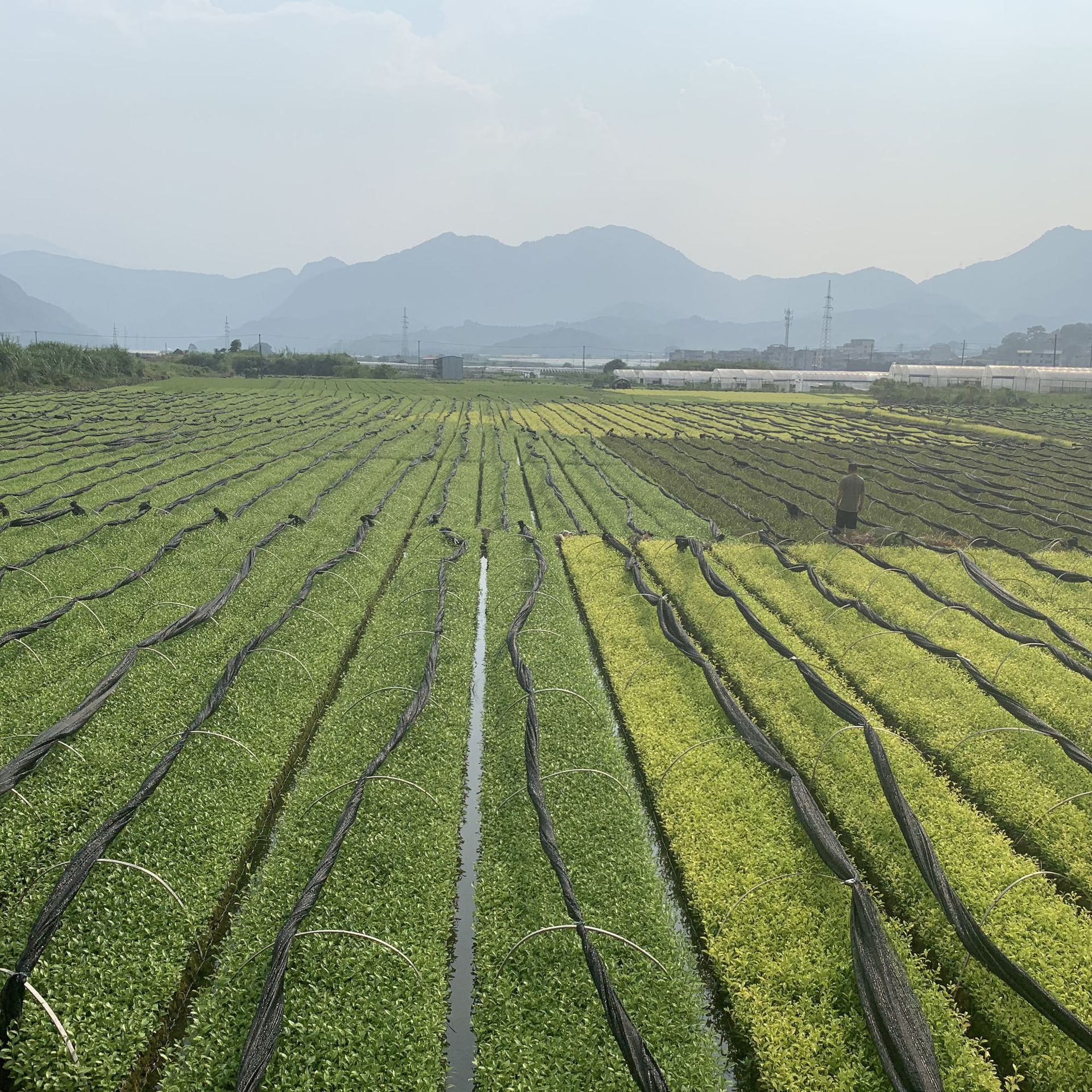 微信圖片_20190826222956