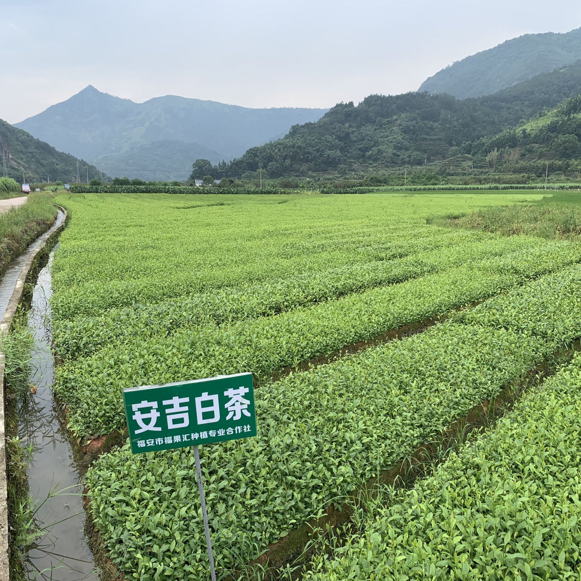 微信圖片_20190826223012