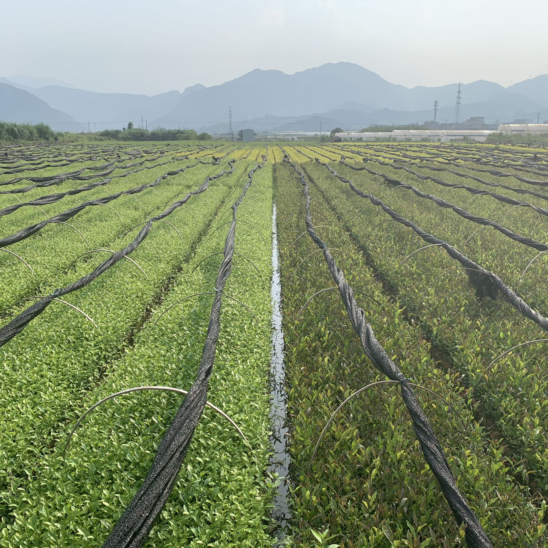 微信圖片_20190826222952