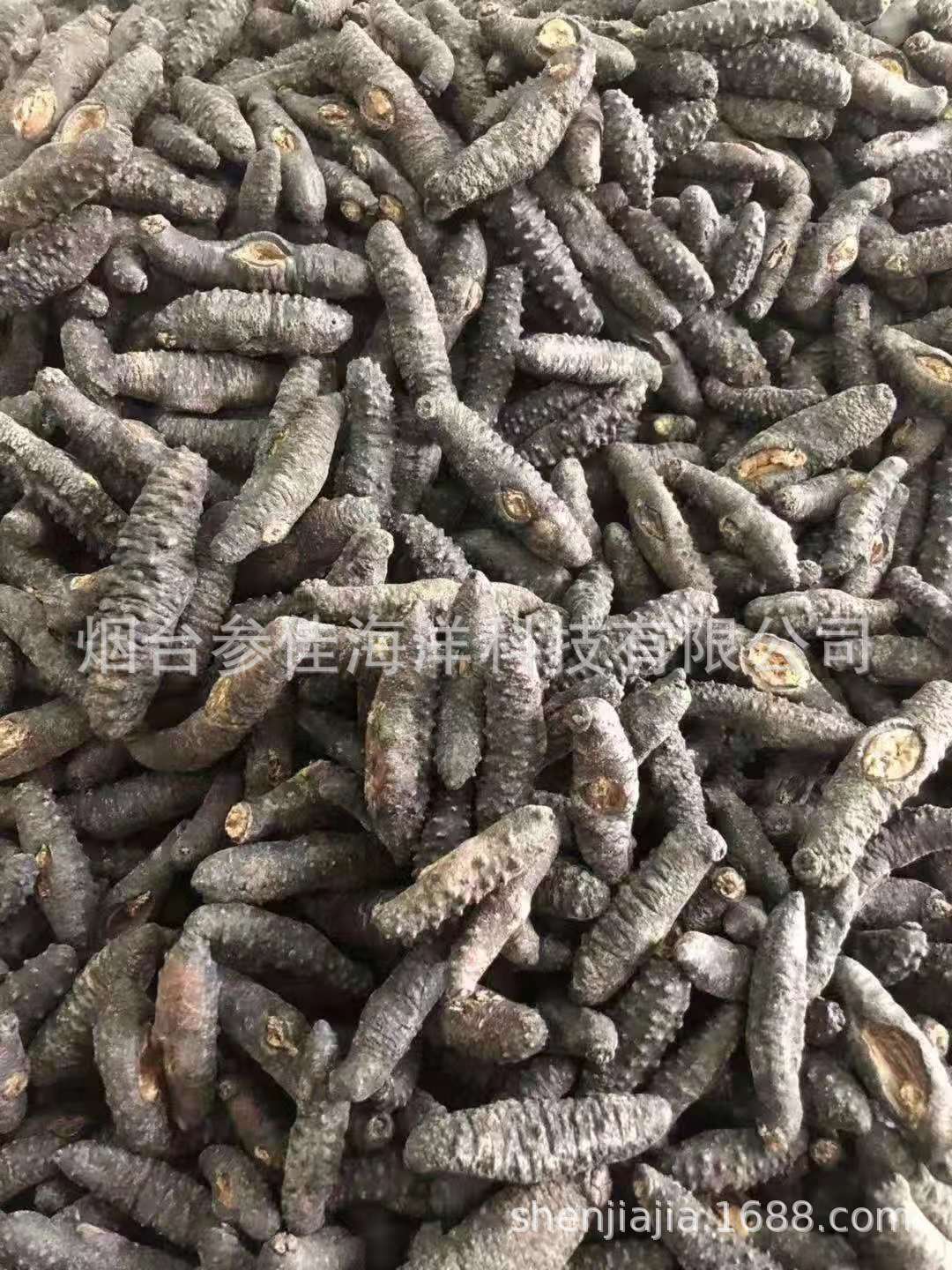 微信圖片_20191119101757.jpg