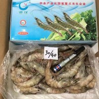 國產(chǎn)廣東湛江基圍蝦港洋新鮮大蝦鮮活白蝦水產(chǎn)餐飲火鍋酒店食材