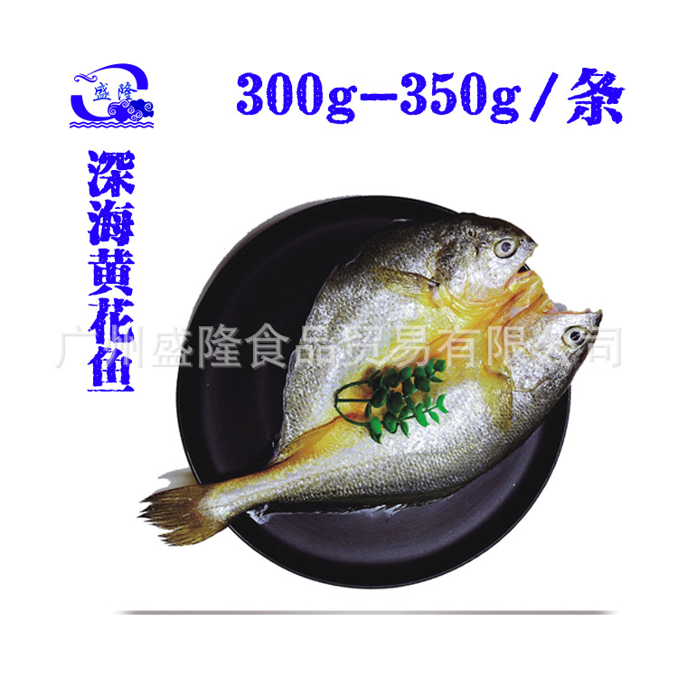 主圖2