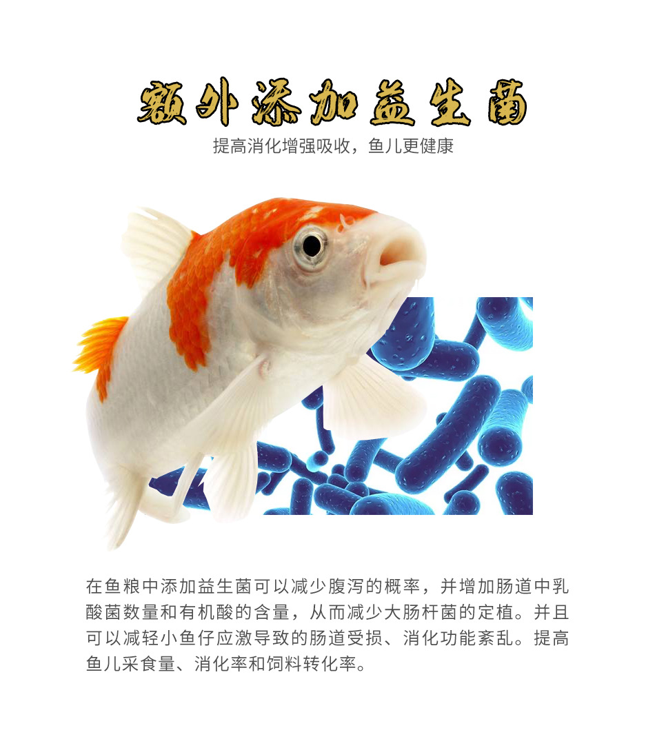 錦鯉詳情頁2_08