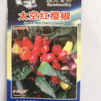 廠家批發(fā) 太空紅櫻椒種子觀賞椒 20粒/袋