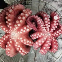 凍煮大章魚真章日料食材熟凍章魚冷凍海產(chǎn)品800克以上熟章魚