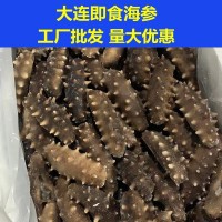 大連海參即食底播遼參刺參單個裝高壓熟發(fā)工廠批發(fā)非干貨