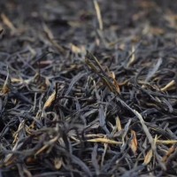 松針滇紅 云南鳳慶滇紅散茶 經(jīng)典58紅茶